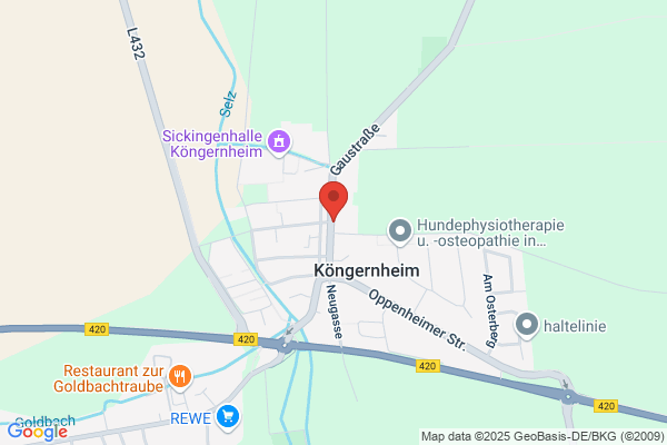 Zum Sickingen