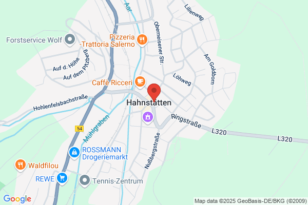 Village House