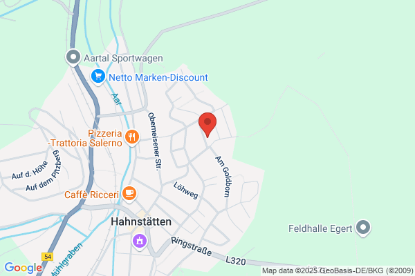 MNT Lang & Partner GmbH Steuerberatungsgesellschaft