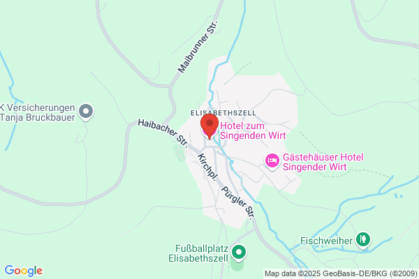 Hotel zum Singenden Wirt
