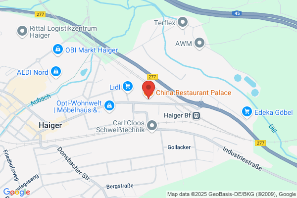 China Restaurant Palace GmbH