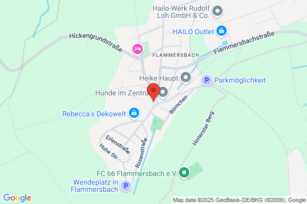 Alt Flammersbach