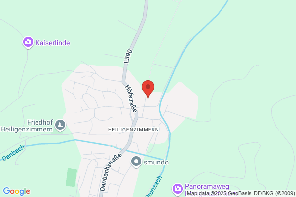 Wilfried Bisinger