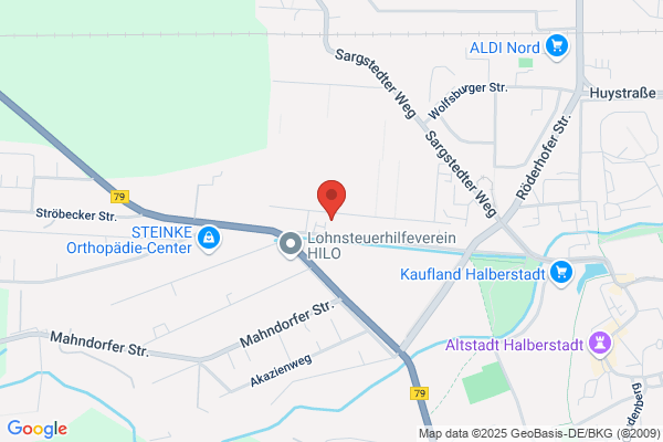 Zaunteam Magdeburg-Harz