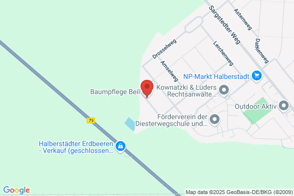 Baumpflege-Beil