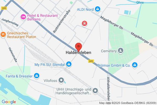 Platten Profi Haldensleben UG