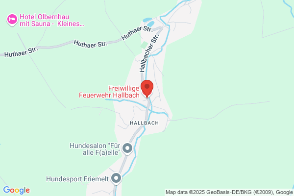Freiwillige Feuerwehr
