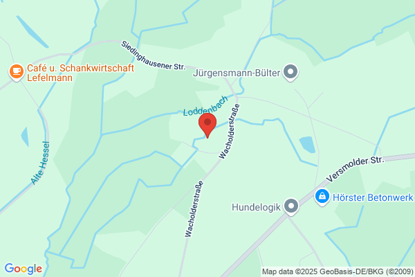 Hammelmann & Thies GbR, 2P