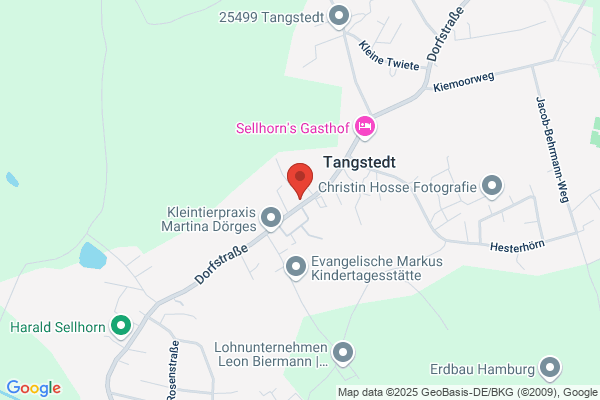 Reimer Eggerstedt
