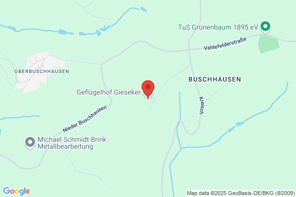 Gieseker