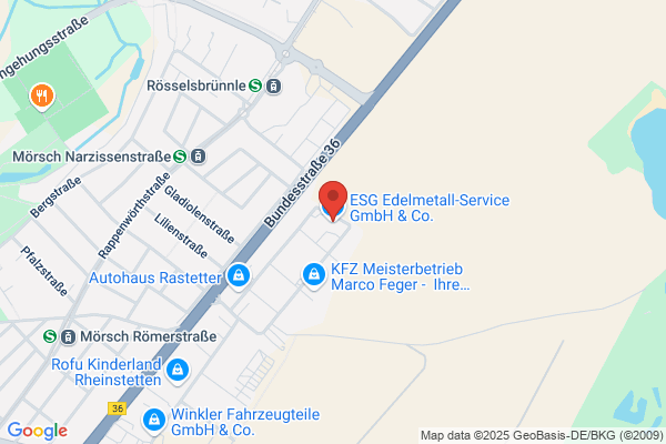 ESG Legierungen GmbH