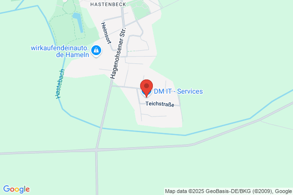 DM IT - Services