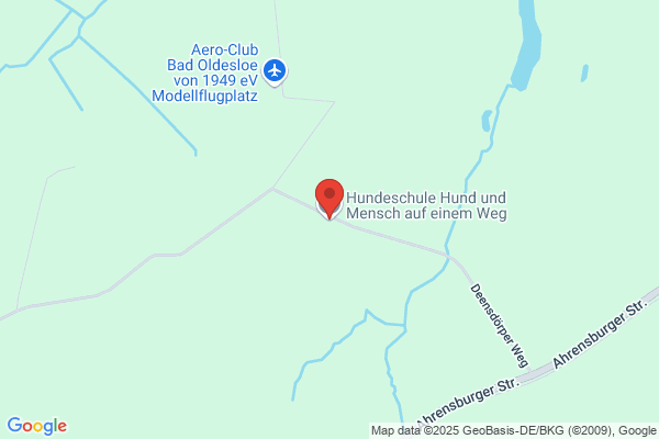 Hundeschule Hundehirn