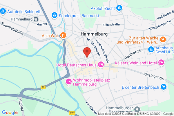 Hammelburger Fahrdienst Inh. P. Schmitt