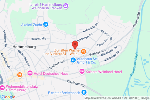 Alarmanlagen, Absicherungen aller Art, Video,Notrufzentrale Remus Tag+Nacht e.K.