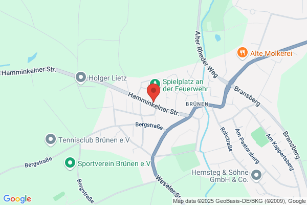 Freiwillige Feuerwehr Hamminkeln