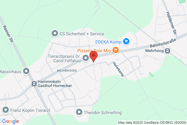 Jinie's Hairstyle