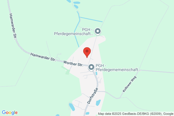 Peter Schatz