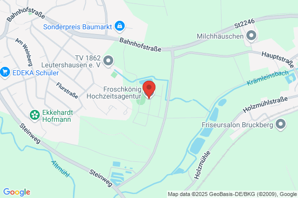 Froschkönig Hochzeitsagentur