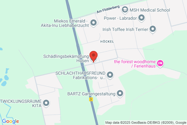 Husen Dachservice & Schädlingsbekämpfung