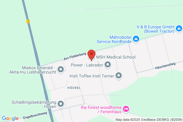 MSH Medical School
