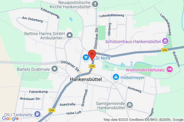 Ergotherapiepraxis Handlungswerk