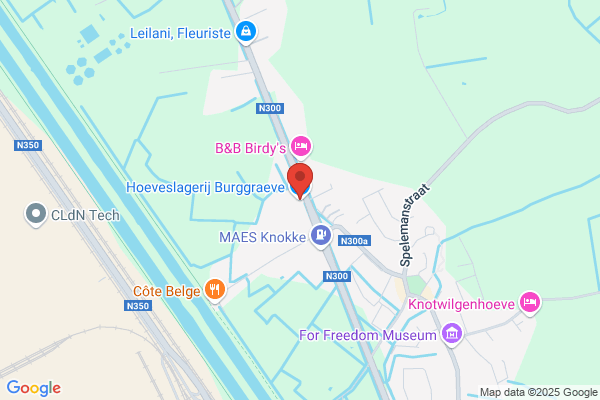 Burggraeve