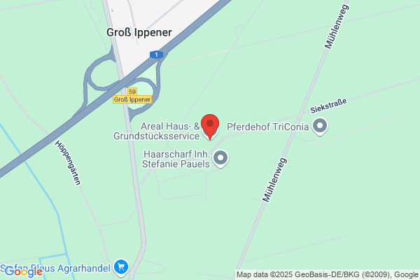 AREAL Immobilien Gesellschaft für Haus- und Grundstücksvermittlung mbH