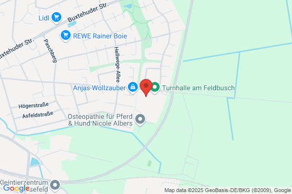Grundschule am Feldbusch