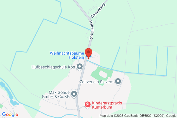 Weihnachtsbäume Holstein KG - Weihnachtsbaum Großhandel