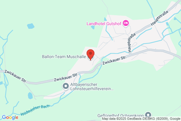 Ballon-Team Muschalle