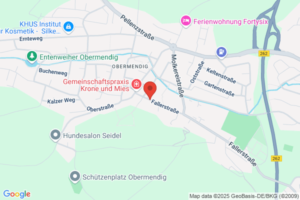 Förderverein der DLRG Mendig Laacher-See EV