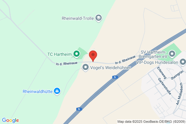 Passmann Umzüge