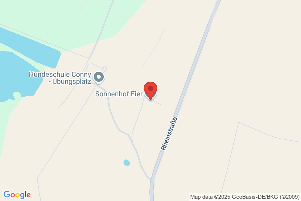 Sonnenhof Eier