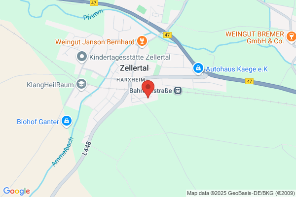 Zinser