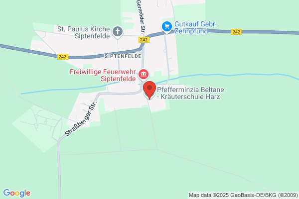 Pfefferminzia Beltane - Kräuterschule Harz