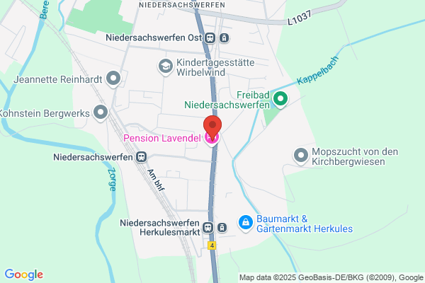 Ludwigs