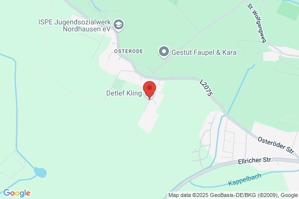 Detlef Kling