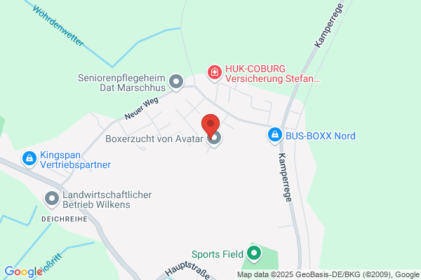 Brandschutztechnik Nieswandt Feuerlöscher Brandschutz