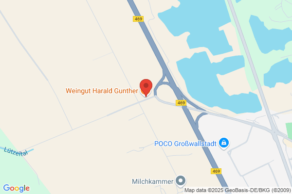 Gunther Winzer