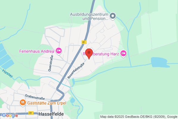Holzbau Hasselfelde OHG