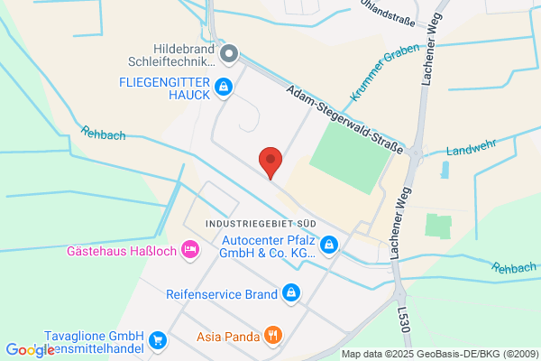 Gerhard Pfau