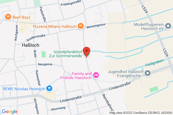 ISLANDPFERDEHOF Sommerweide Piwinger