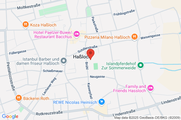 Pfalzhalle Heiberger Otto
