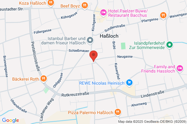 Pizzeria Centro Bei Alex