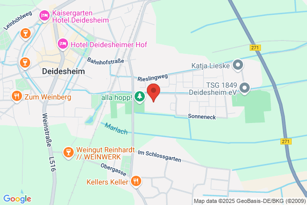 IGS Deidesheim-Wachenheim
