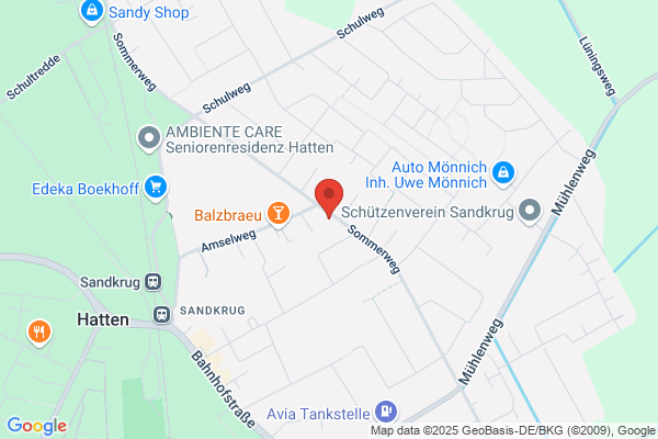 Horst Hebenstreit