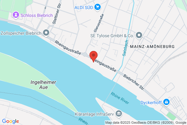 Informationstechnologie InfraServ GmbH & Co Höchst KG