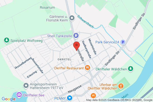 Thomae Grundstücks- und Beteiligungs GmbH