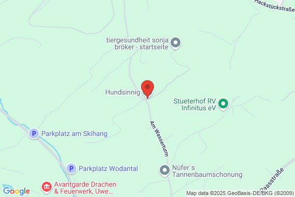 Hundsinnig Silke Reinshagen